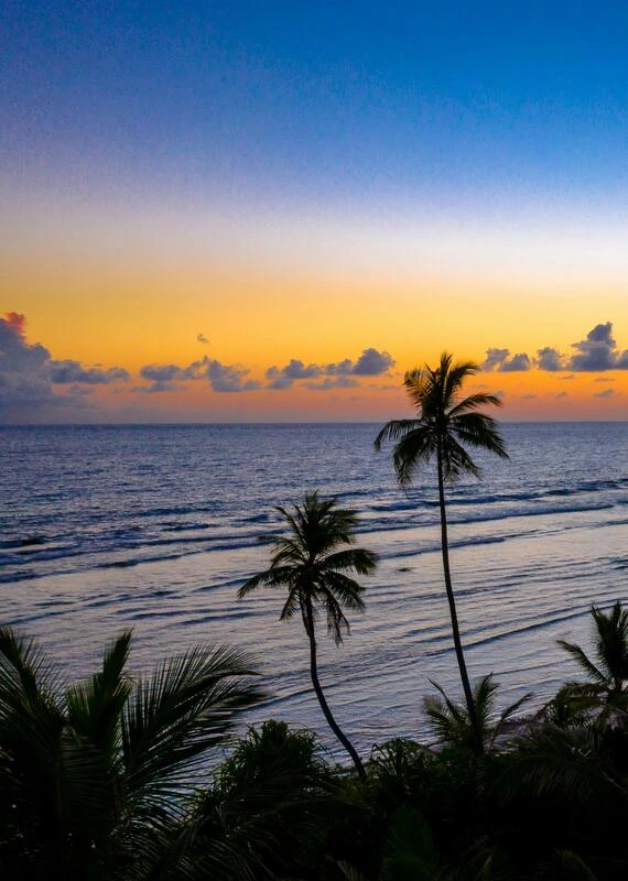 Luxury yachts available in Maldives – Syrama Services