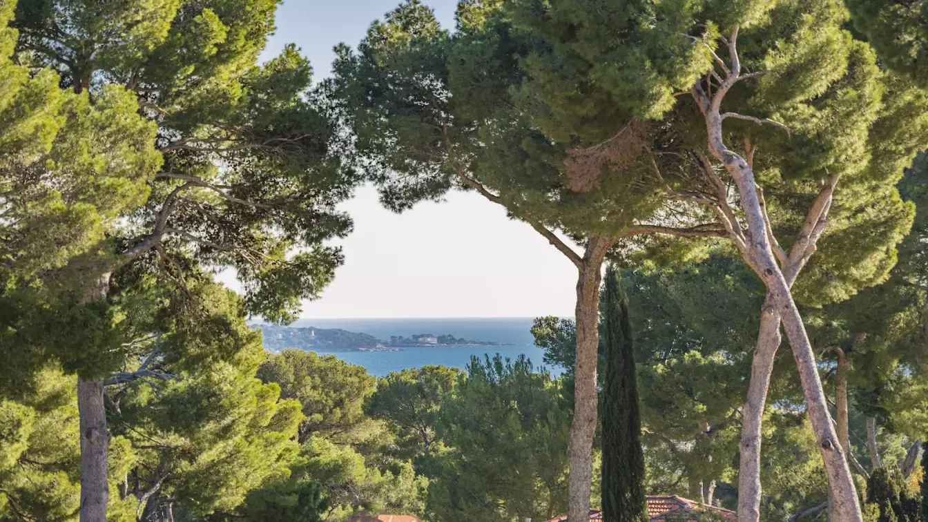 Villa Myrtle – 550 m² – Cap d'Antibes – Image n°1